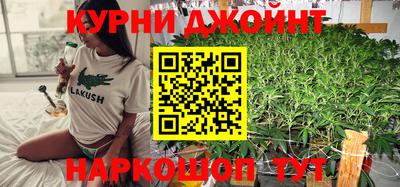 ALPHA PVP Гатчина