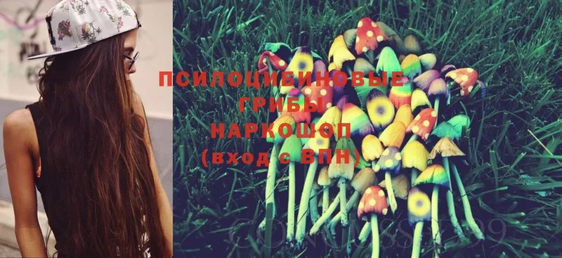 где продают наркотики  Звенигород  это телеграм  Псилоцибиновые грибы MAGIC MUSHROOMS 