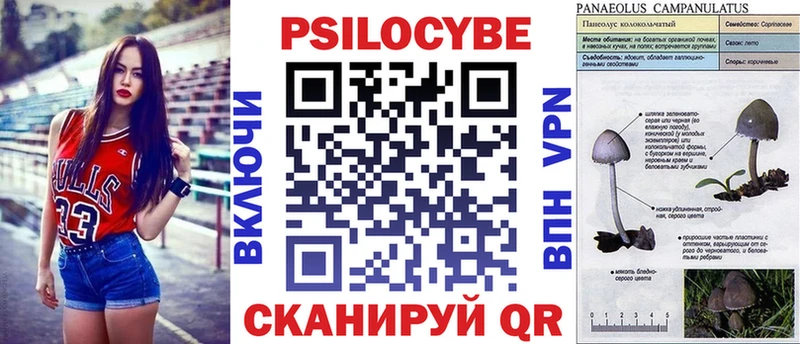 магазин продажи наркотиков  Звенигород  Псилоцибиновые грибы Magic Shrooms 