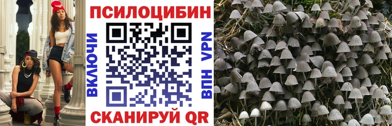 Псилоцибиновые грибы ЛСД Звенигород