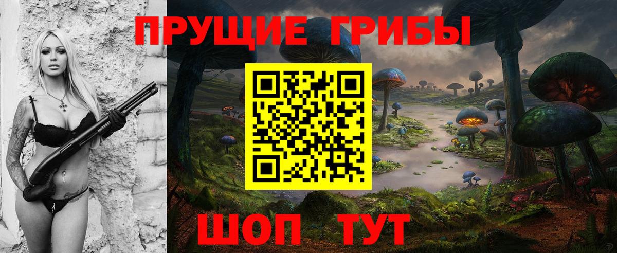 Звенигород  Галлюциногенные грибы Cubensis  Вход с VPN 