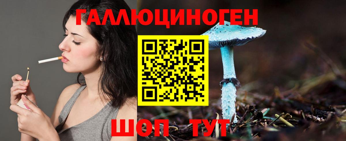 Псилоцибиновые грибы Psilocybine cubensis Звенигород