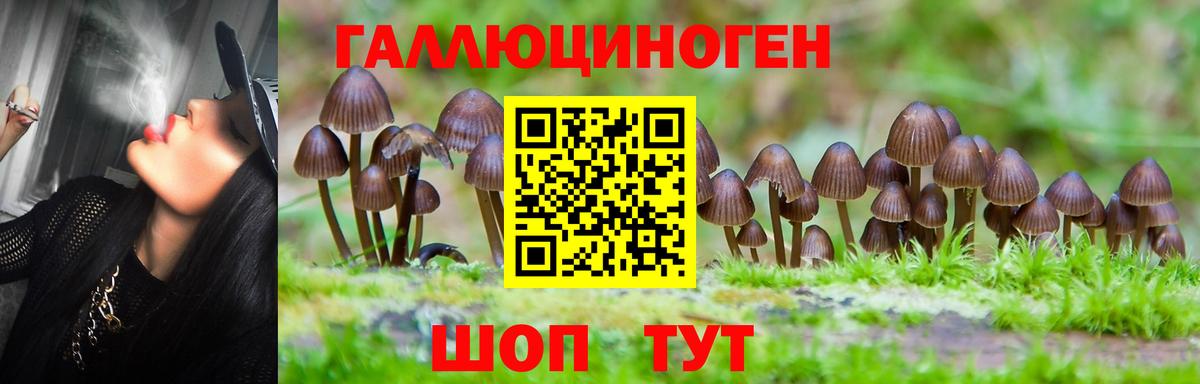 Псилоцибиновые грибы ЛСД Звенигород